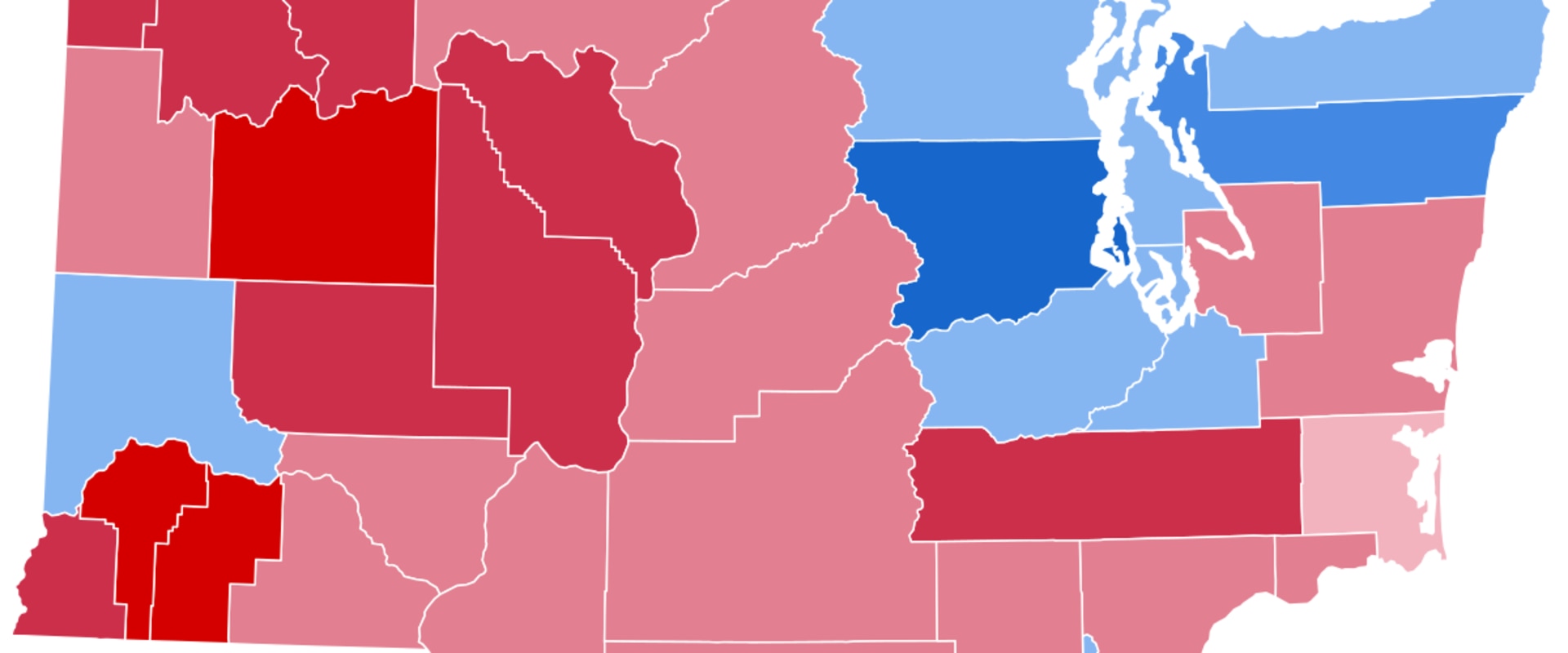 The Importance of Local Elections in King County, Washington