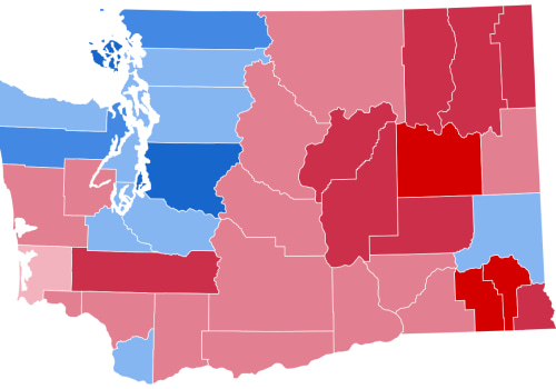 The Importance of Local Elections in King County, Washington